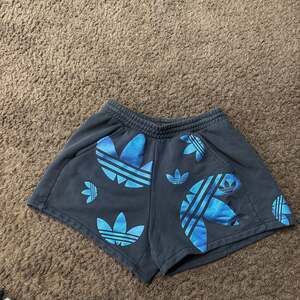 Adidas Originals Holographic Big Logo Shorts